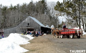 Maine Maple Sunday at Chase Farms – Wells, Maine