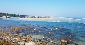 Next Phase of Ogunquit, Maine Beach Reopening