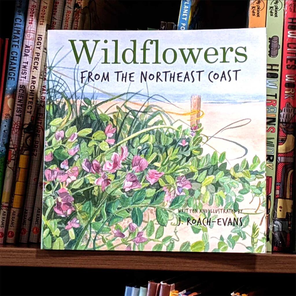 Wildflowers from the Northeast Coast - J Roach Evans